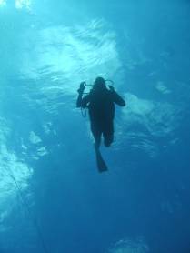 Início de mergulho em Round Rock, em Grand Cayman, nas Ilhas Caiman